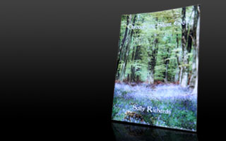 Through the Silent Grove - Book Cover