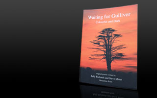 Waiting for Gulliver - Book Cover